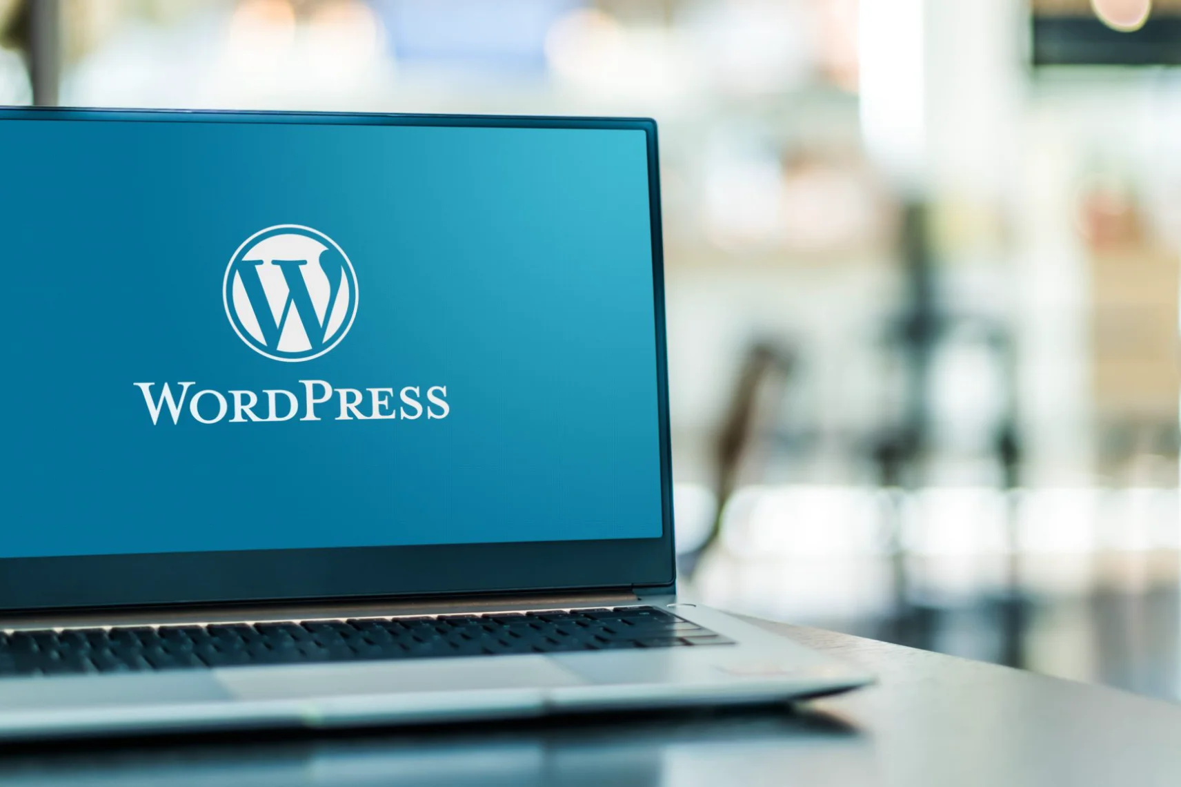 wordpress-development